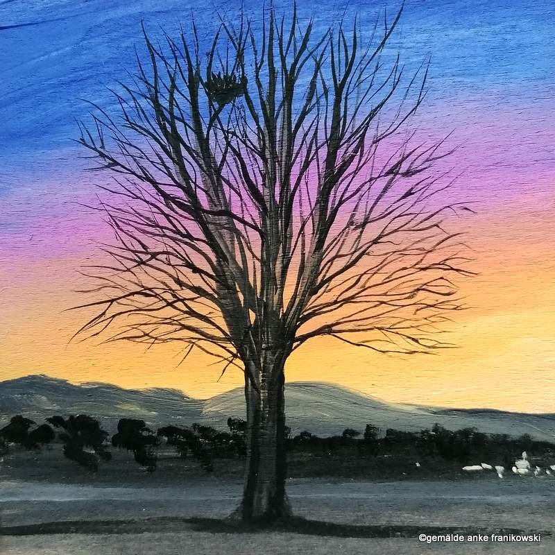 Acrylbild Baum im Sonnenuntergang kaufen von Anke Franikowski